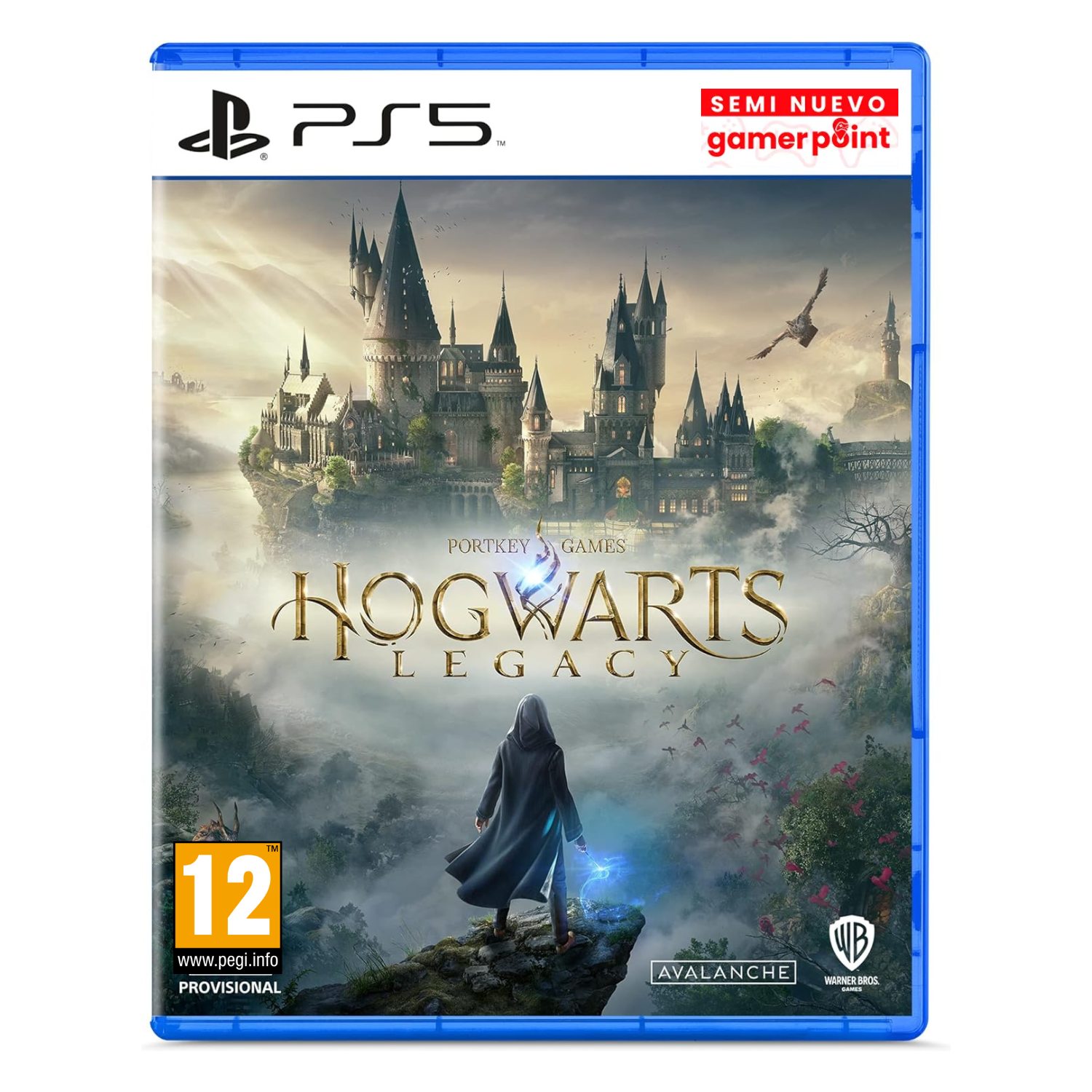 Hogwarts Legacy Eur Ps5 Usado